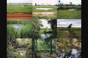 Bomb Ponds by Mr. Vandy Rattana (Cambodia). Medium/Material: Photographs and video. Vandy Rattana’s Bomb Ponds is a series of nine quiet, mysteriously serene landscape photographs and a confronting one-channel documentary film in which villagers describe their memories of the bombings as well as their relationship to the ponds today. The Bomb Ponds invite audiences to connect with both the fragility and the resilience of the people and the land, and to reconsider the historical thread of America's actions during the Vietnam War and subsequently, similar acts of violence worldwide.